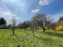 Działka rolno-budowlana Wierzbica. Zdjęcie 4