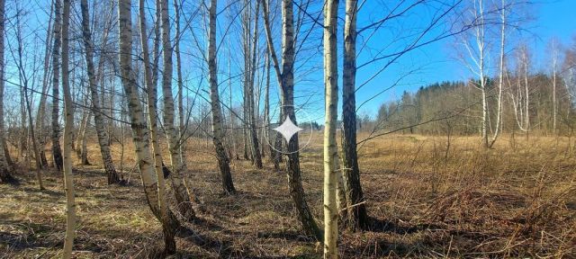 Działka budowlana Różnowo. Zdjęcie 16