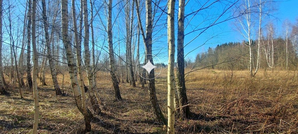 Działka budowlana Różnowo. Zdjęcie 16