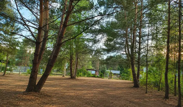 Działka inwestycyjna Biała Góra