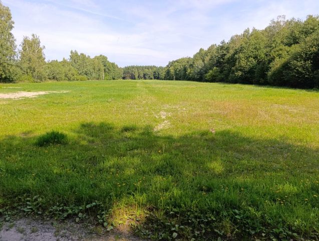 Działka rolna Grabowiec Stawiszcze. Zdjęcie 1