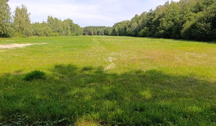Działka rolna Grabowiec Stawiszcze