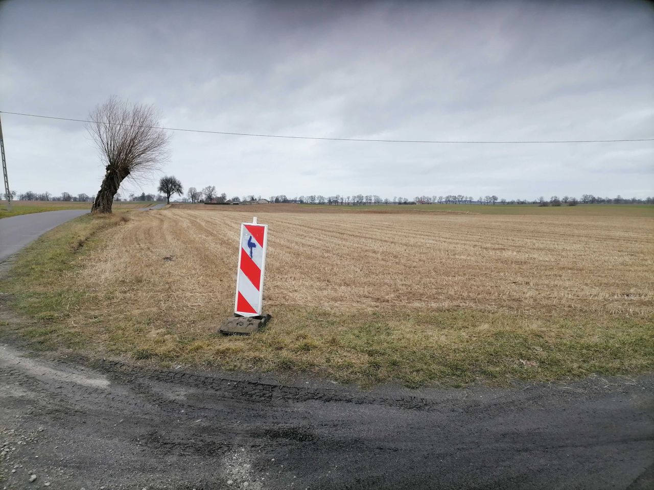 Działka rolno-budowlana Bierzgłowo. Zdjęcie 5