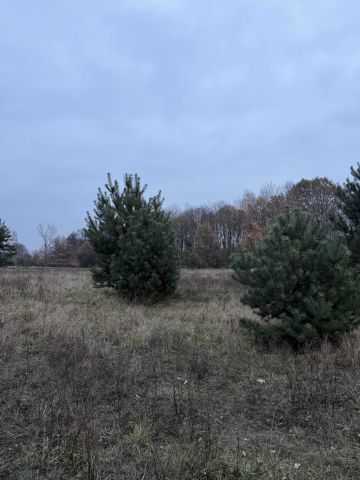 Działka budowlana Czersk, ul. Warecka. Zdjęcie 1