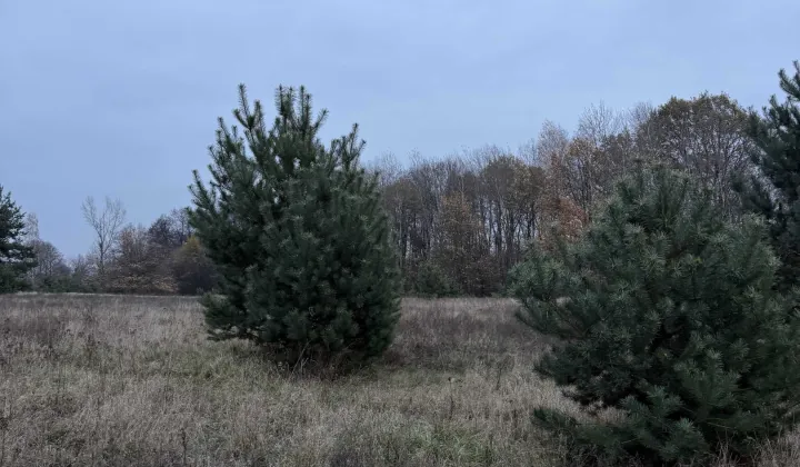 Działka budowlana Czersk, ul. Warecka