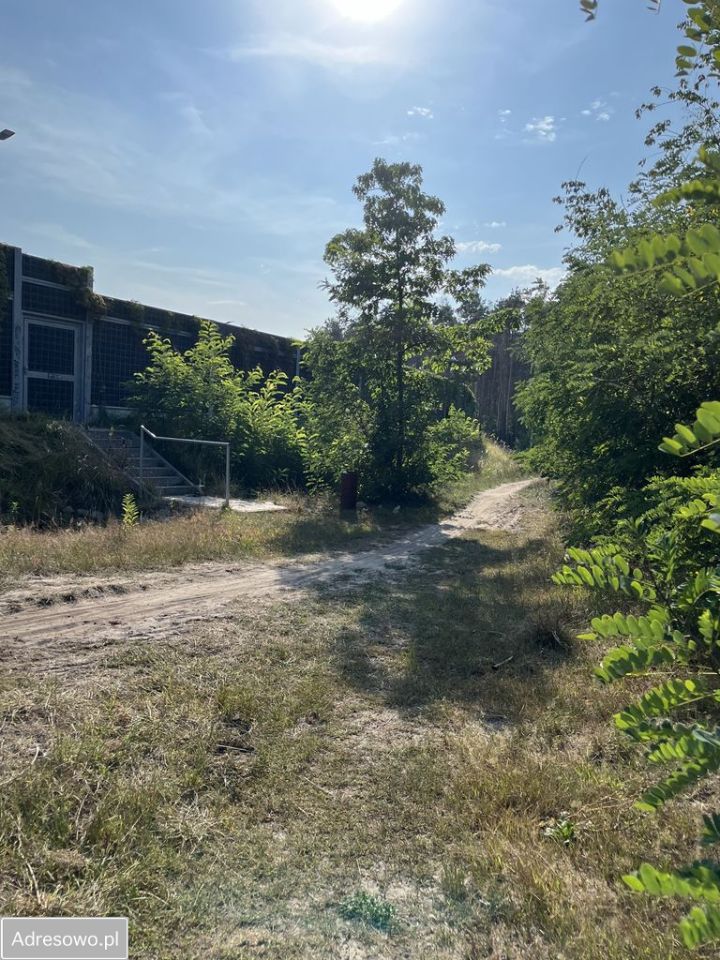 Działka leśna Warszawa Miedzeszyn, ul. Tuberozy. Zdjęcie 4