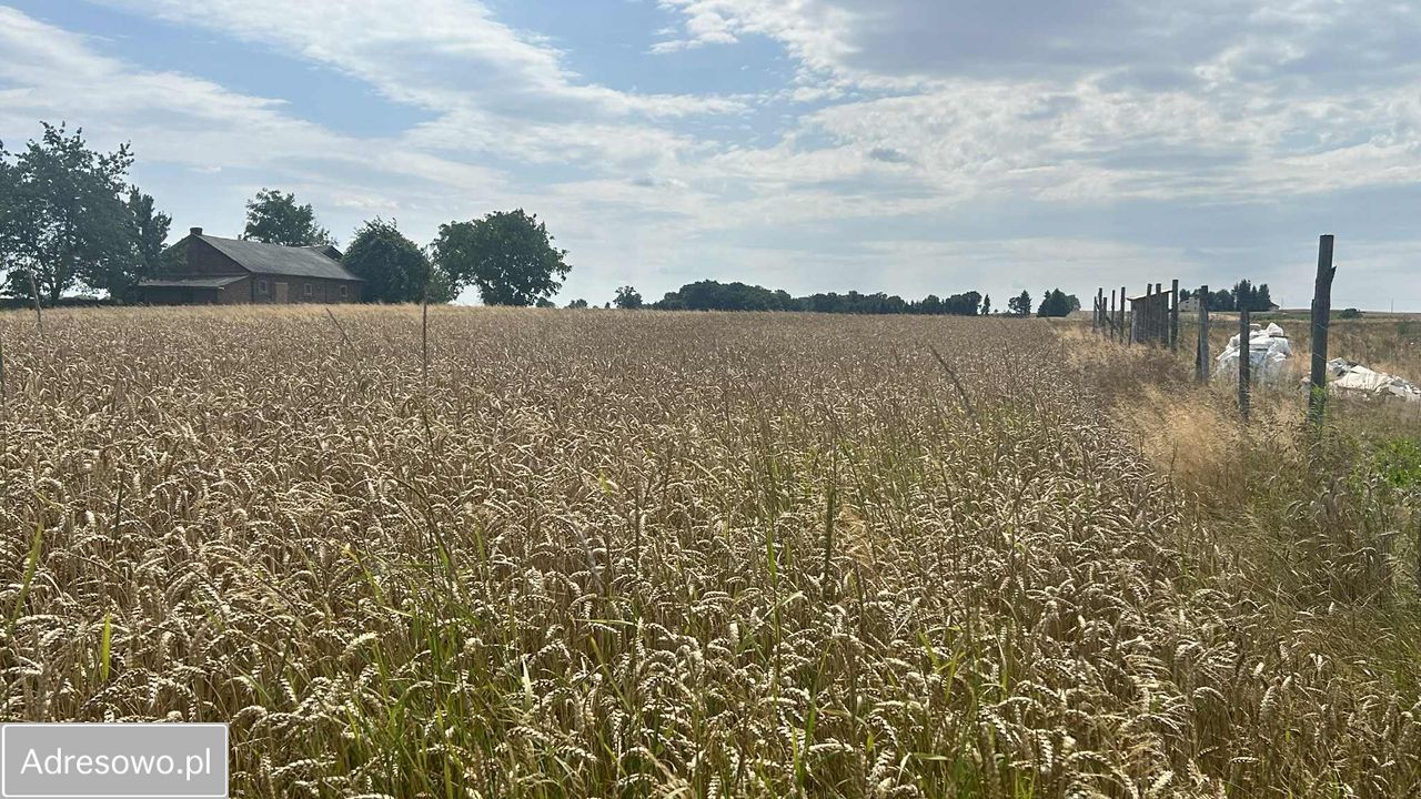 Działka budowlana Moszenki. Zdjęcie 2