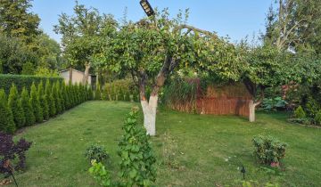 Działka rod Łódź Górna, ul. mjr. Eugeniusza Nurta-Kaszyńskiego