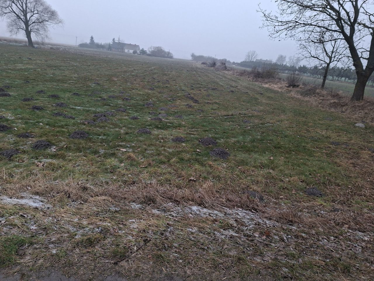 Działka budowlana Liszkowice. Zdjęcie 2