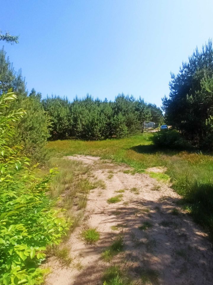 Działka budowlana Obrowo, ul. Lisia. Zdjęcie 2