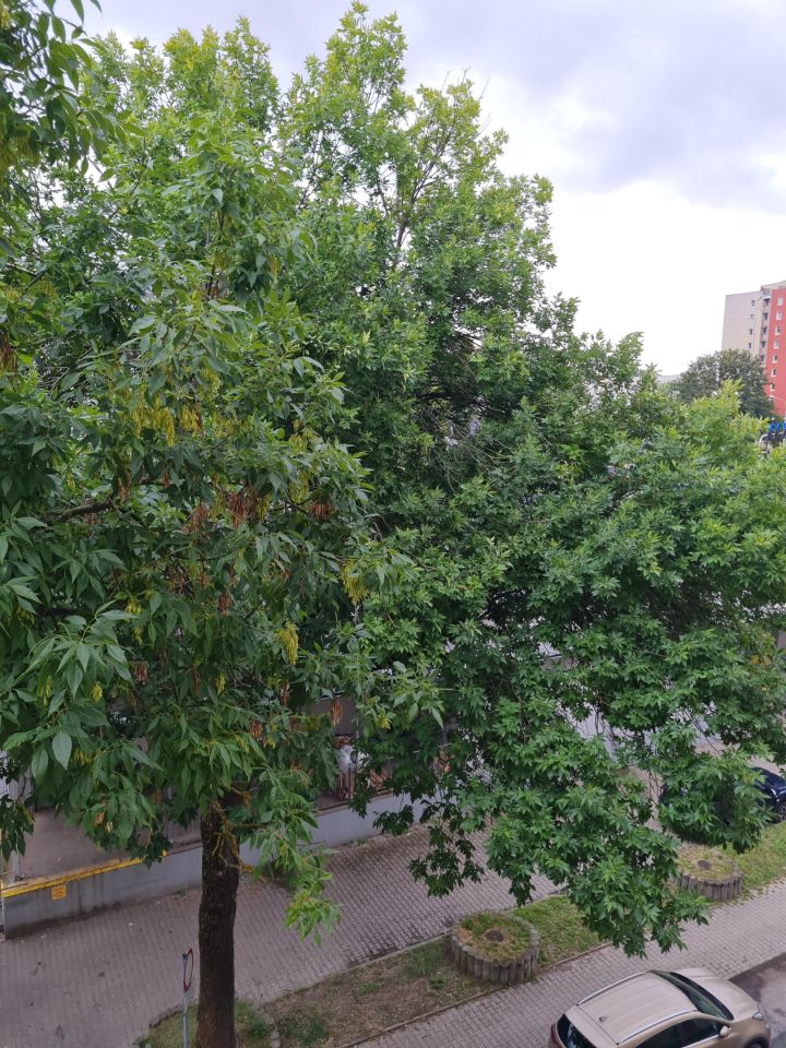 Mieszkanie 3-pokojowe Lublin Bronowice, ul. Krańcowa. Zdjęcie 12