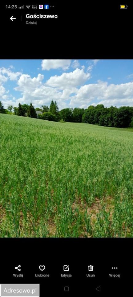 Działka rolna Koniecwałd. Zdjęcie 4