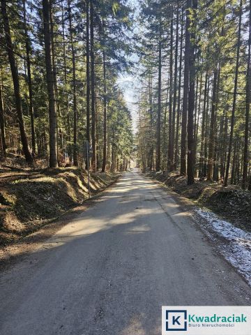 Działka inwestycyjna Odrzykoń, ul. Leśna. Zdjęcie 2