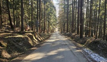 Działka inwestycyjna Odrzykoń, ul. Leśna