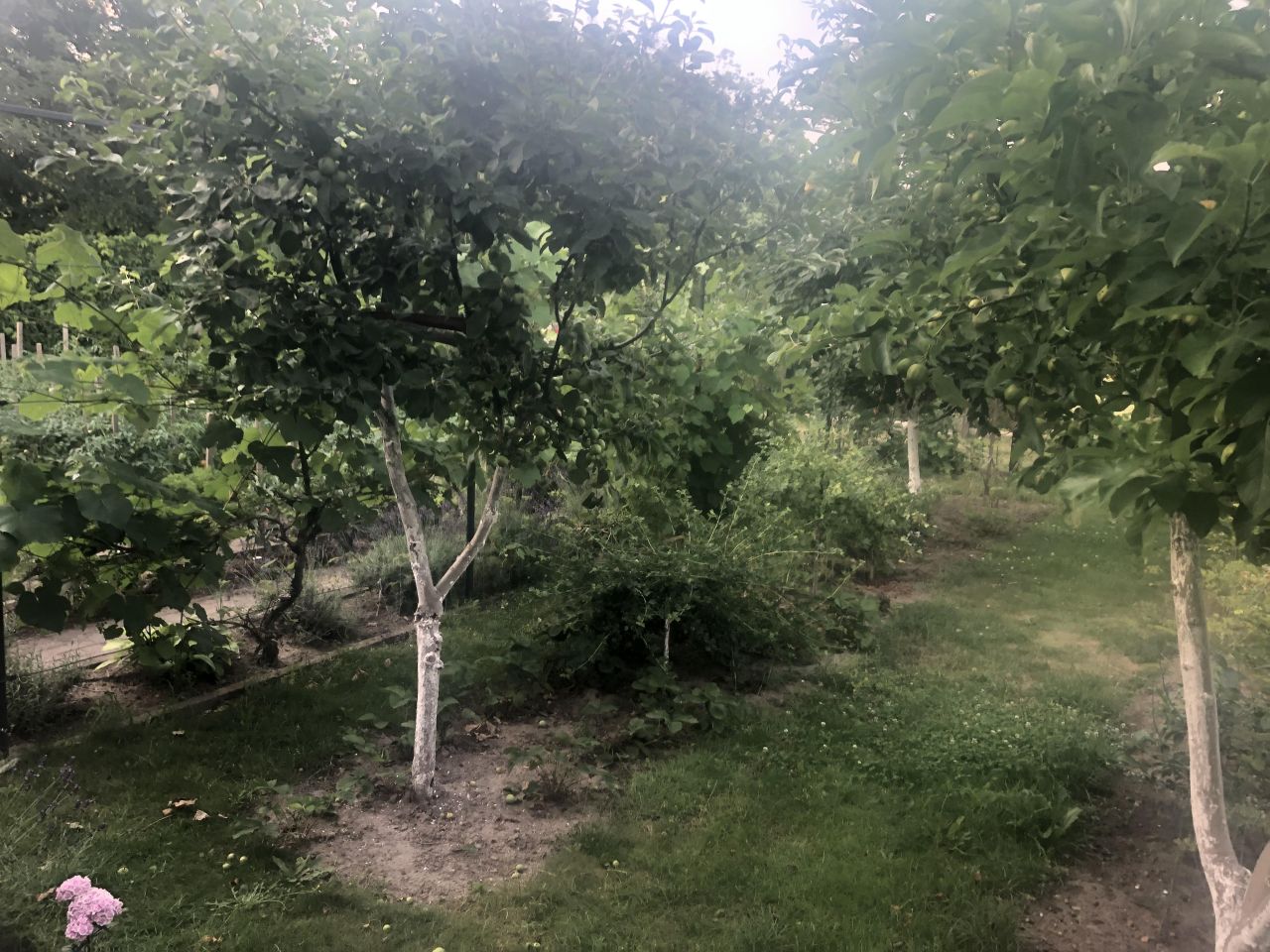 Działka rod Jelcz-Laskowice Centrum, ul. Oławska. Zdjęcie 8