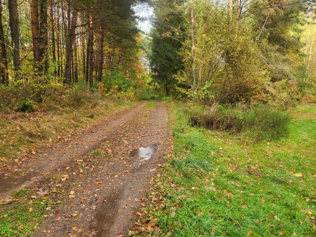 Działka siedliskowa Brodnica Górna, ul. Wodociągowa. Zdjęcie 6