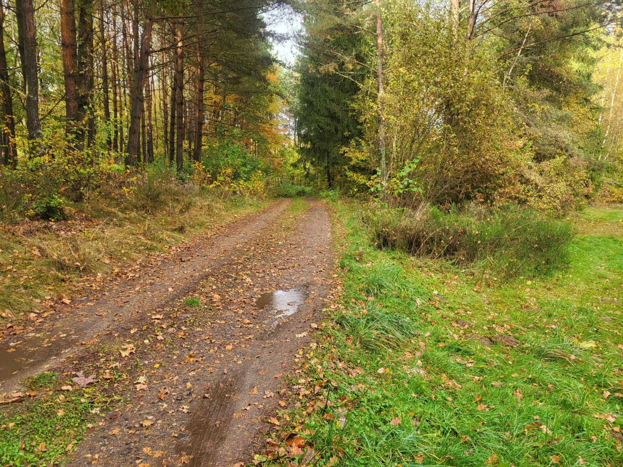Działka siedliskowa Brodnica Górna, ul. Wodociągowa. Zdjęcie 6