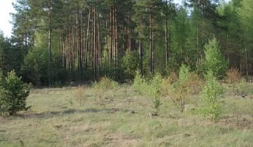 Działka rolna Zelwa