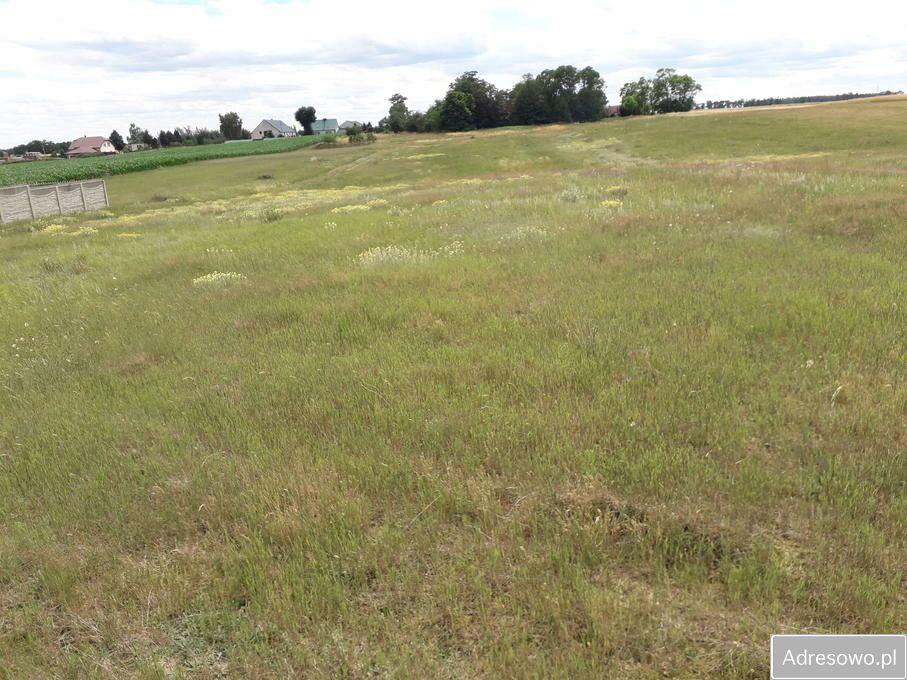 Działka budowlana Żakowo. Zdjęcie 8