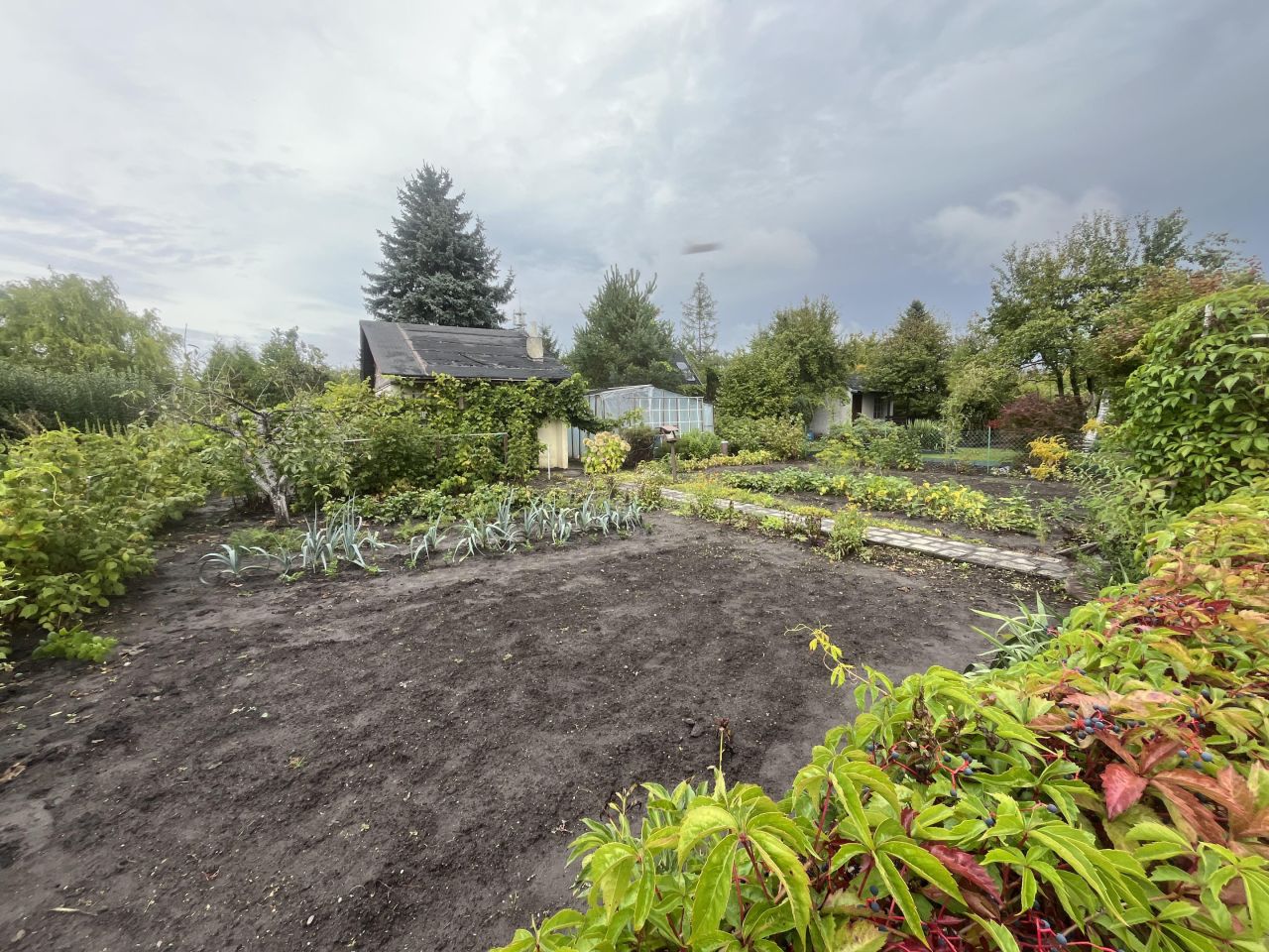 Działka rod Wrocław Krzyki, ul. Konduktorska. Zdjęcie 2