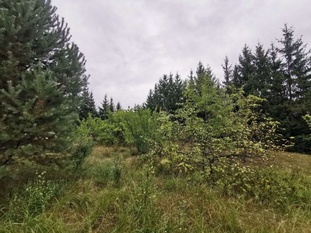 Działka inwestycyjna Złotów. Zdjęcie 3