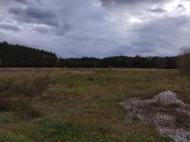 Działka budowlana Zabiełłów. Zdjęcie 1