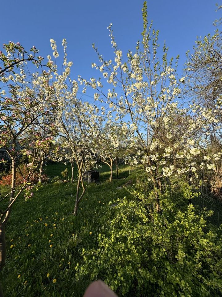 Działka rod Jelenia Góra Zabobrze, ul. Adama Mickiewicza. Zdjęcie 7