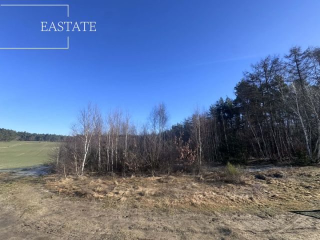 Działka inwestycyjna Pierwoszyno, ul. Jabłoniowa. Zdjęcie 4