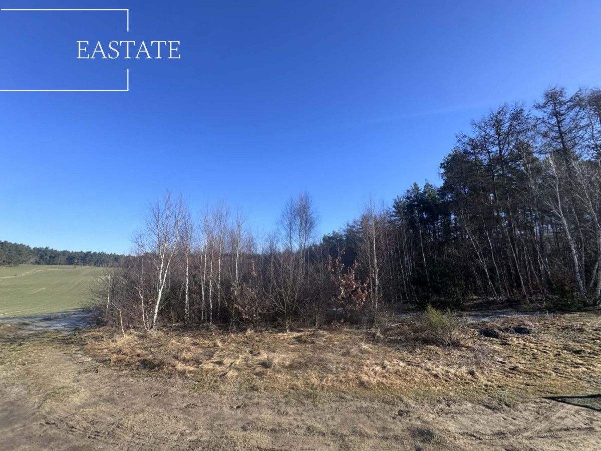 Działka inwestycyjna Pierwoszyno, ul. Jabłoniowa. Zdjęcie 4