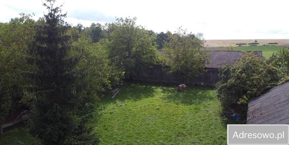 Działka siedliskowa Płonka. Zdjęcie 6