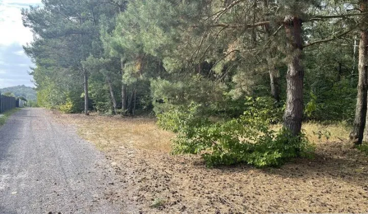 Działka rekreacyjna Kostkowice