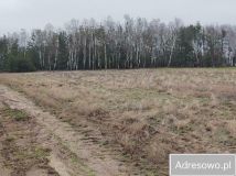 Działka rekreacyjna Napiórki Butne. Zdjęcie 2
