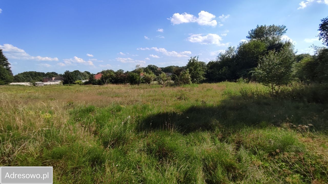 Działka rolna Zielona Góra Nowy Kisielin, ul. Nowy Kisielin-Dolna. Zdjęcie 11