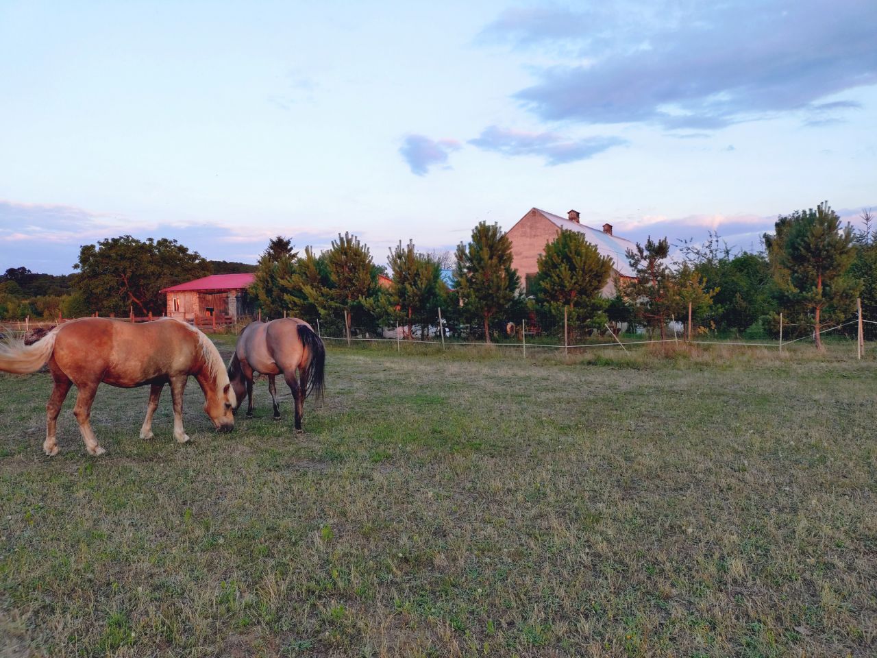 Działka rolna Jarnatów. Zdjęcie 15