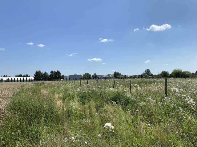 Działka budowlana Hrubieszów, ul. Michałówka. Zdjęcie 1