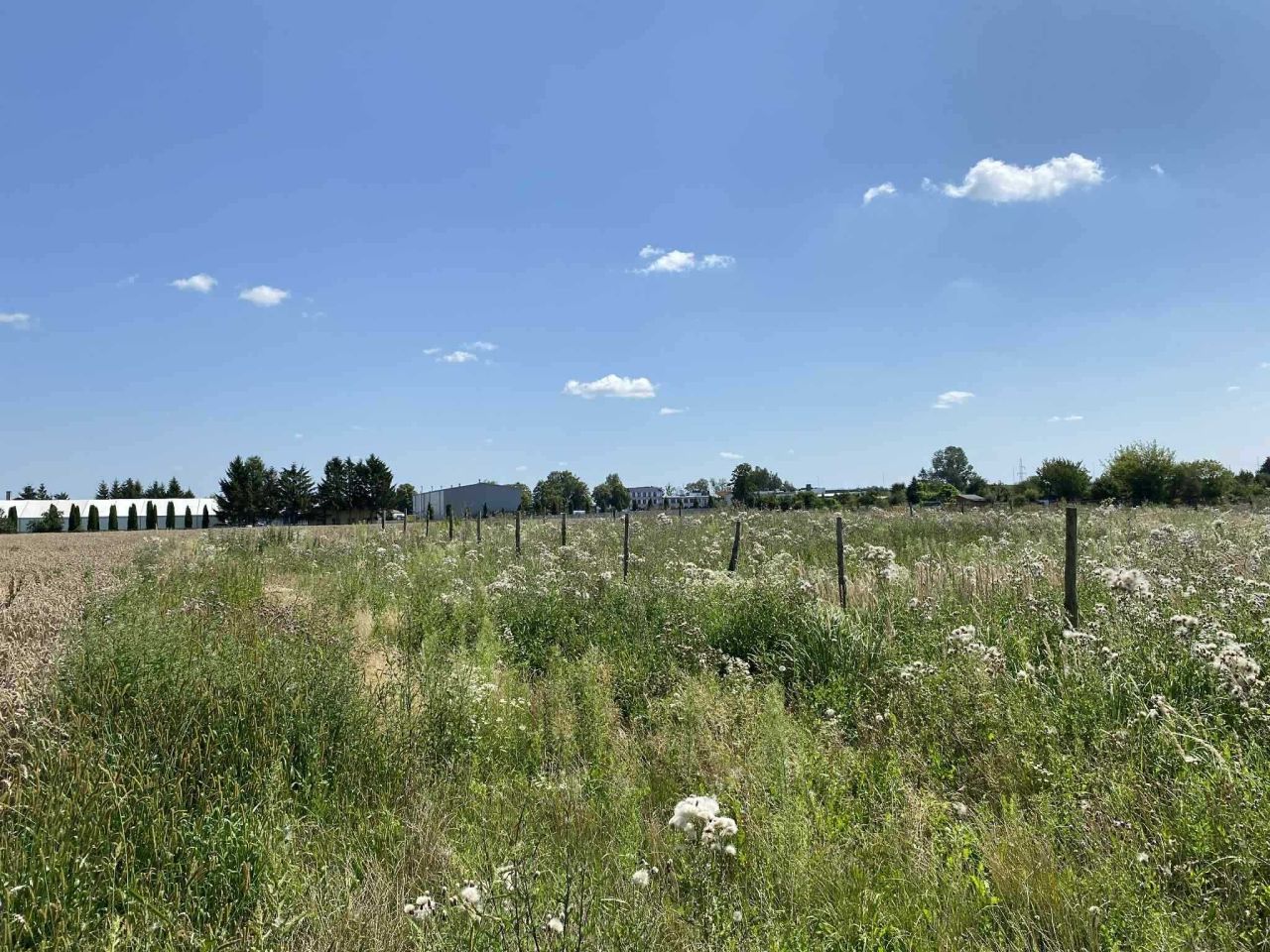 Działka budowlana Hrubieszów, ul. Michałówka