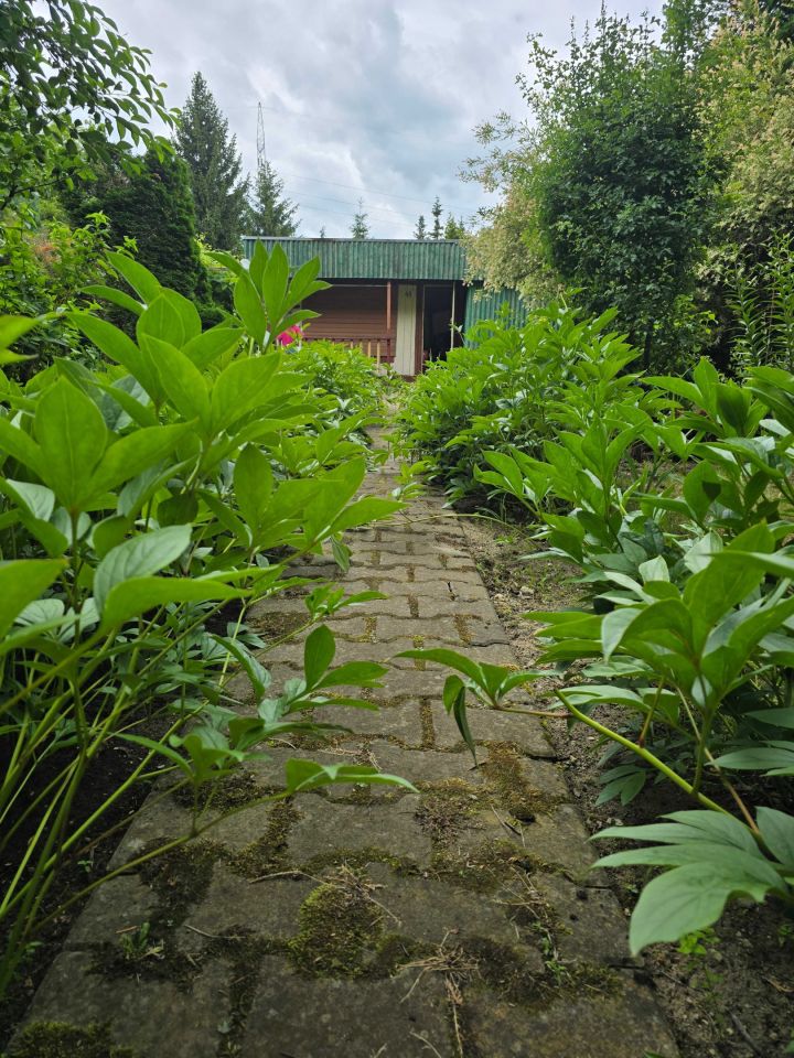 Działka rod Łódź Teofilów, ul. św. Teresy od Dzieciątka Jezus. Zdjęcie 8