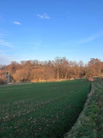 Działka rolno-budowlana Zdzięsławice, ul. Na Wzgórze. Zdjęcie 1