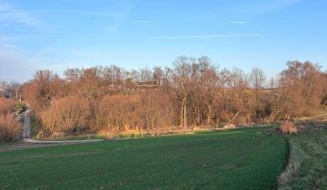 Działka rolno-budowlana Zdzięsławice, ul. Na Wzgórze