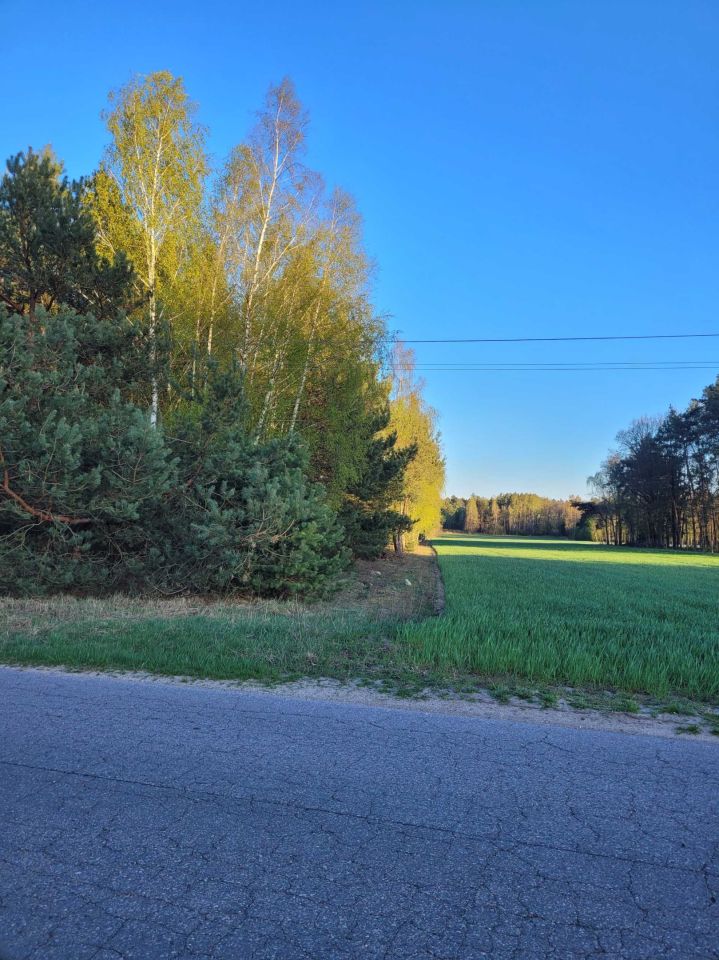 Działka rolna Wólka-Przekory. Zdjęcie 6