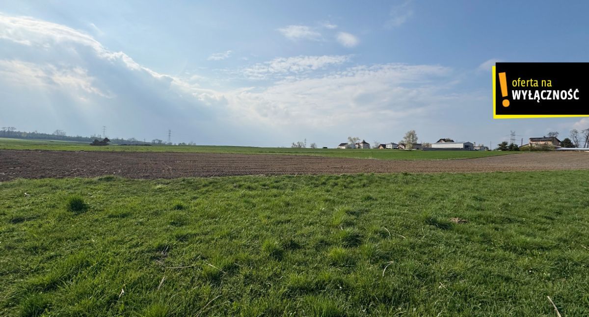 Działka rolno-budowlana Dzimierz. Zdjęcie 2