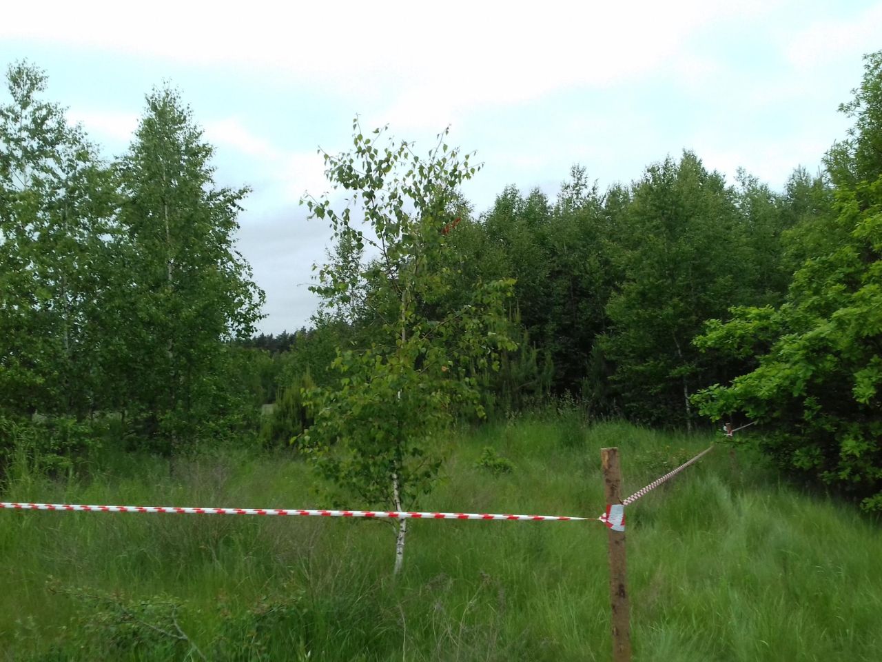 Działka rolno-budowlana Węgrzynówek. Zdjęcie 9