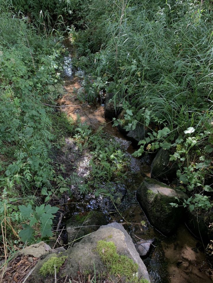 Działka budowlana Pomianowo. Zdjęcie 5