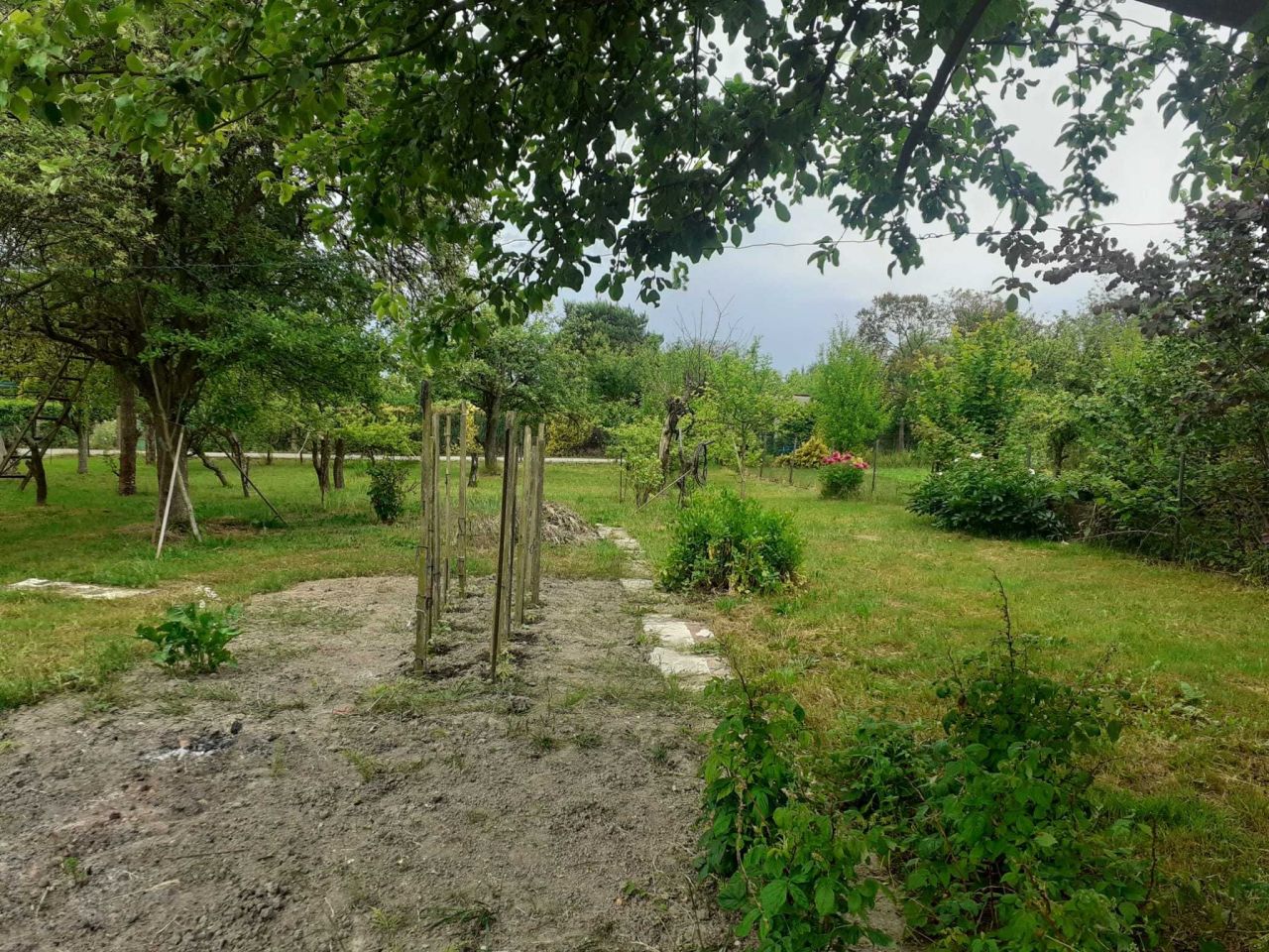 Działka rod Gliwice Stare Gliwice, ul. Kozielska. Zdjęcie 8