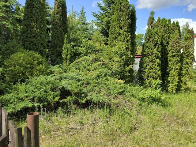 Działka rekreacyjna Rybczyzna, ul. Podleśna. Zdjęcie 1