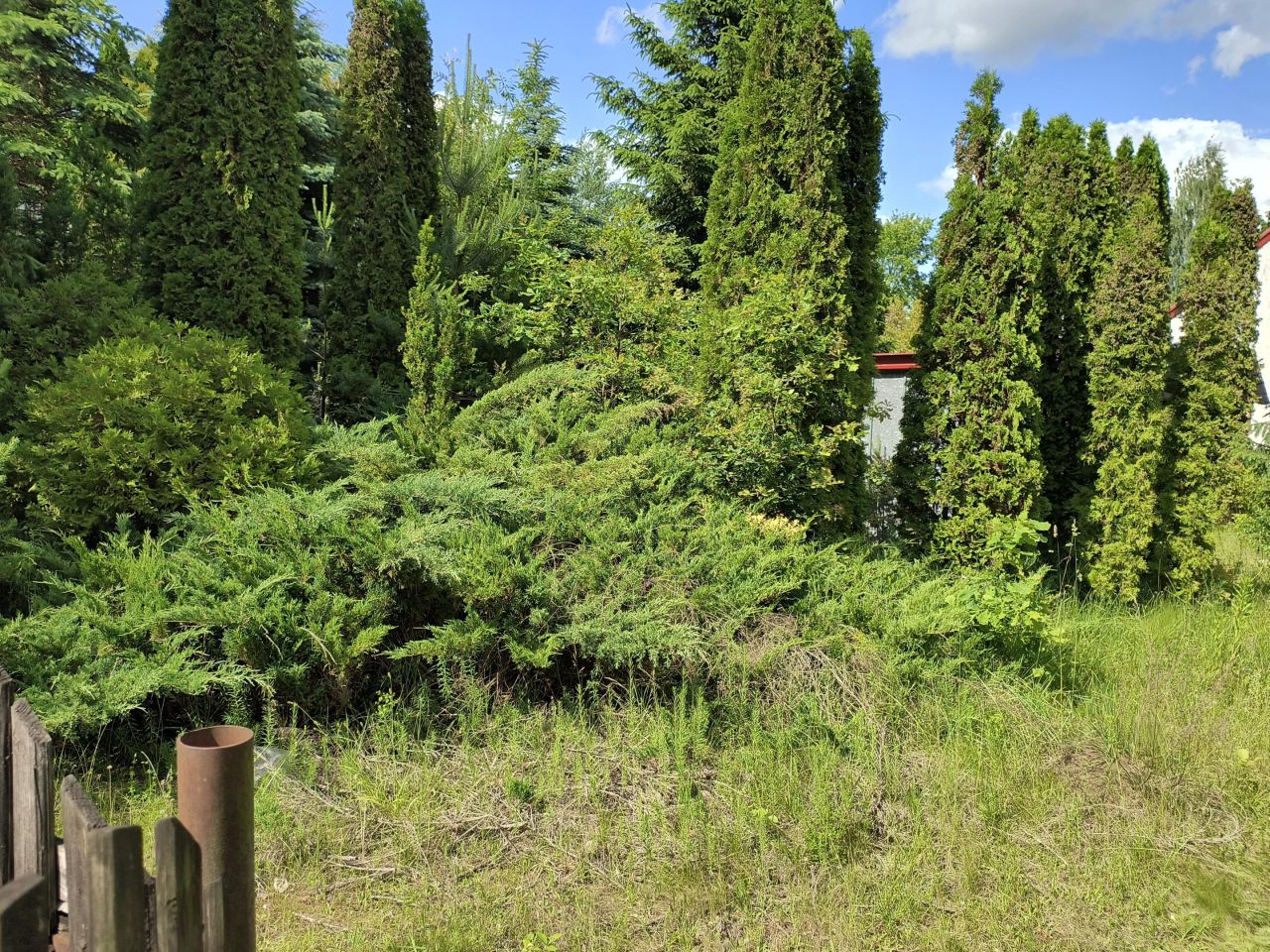 Działka rekreacyjna Rybczyzna, ul. Podleśna