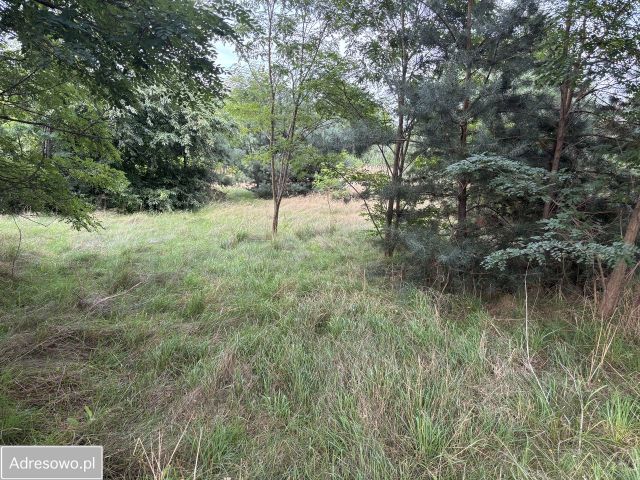 Działka budowlana Paprotnia. Zdjęcie 1