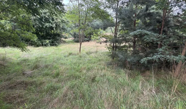 Działka budowlana Paprotnia