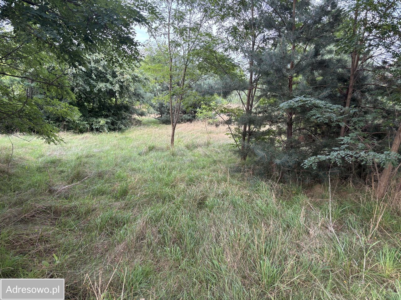 Działka budowlana Paprotnia