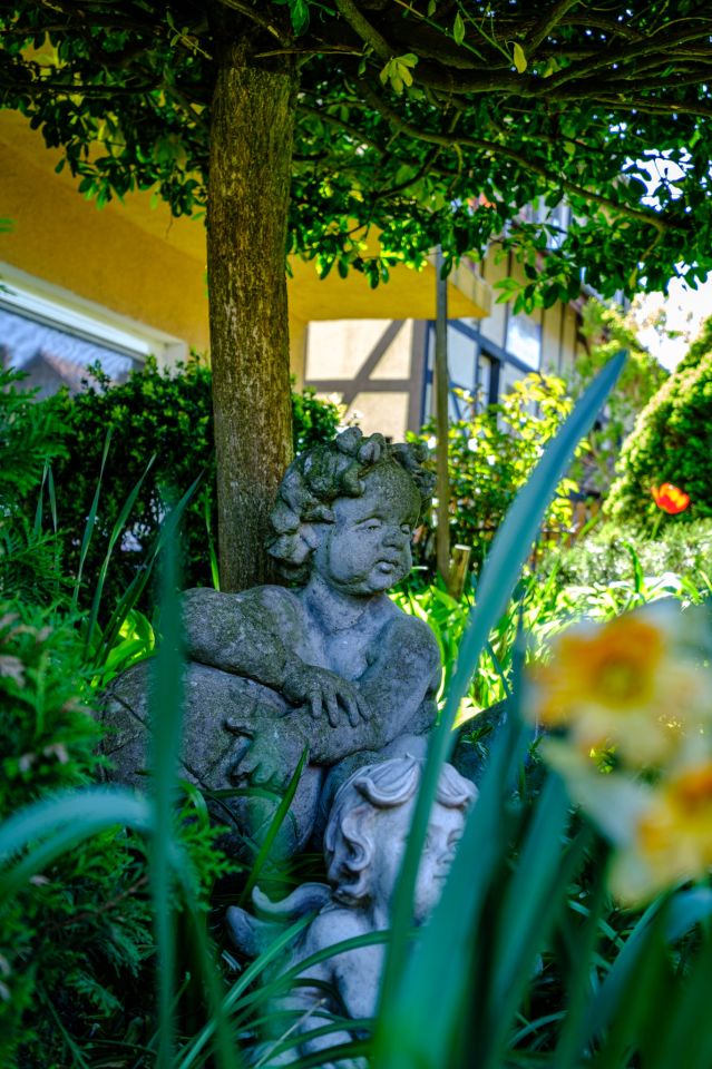 dom wolnostojący, 15 pokoi Stegna, ul. Romana Dmowskiego. Zdjęcie 17